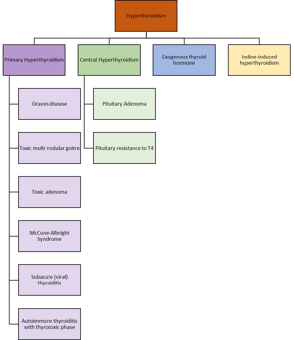 Figure 3.4: Classification of Causes of Hyperthyroidism
