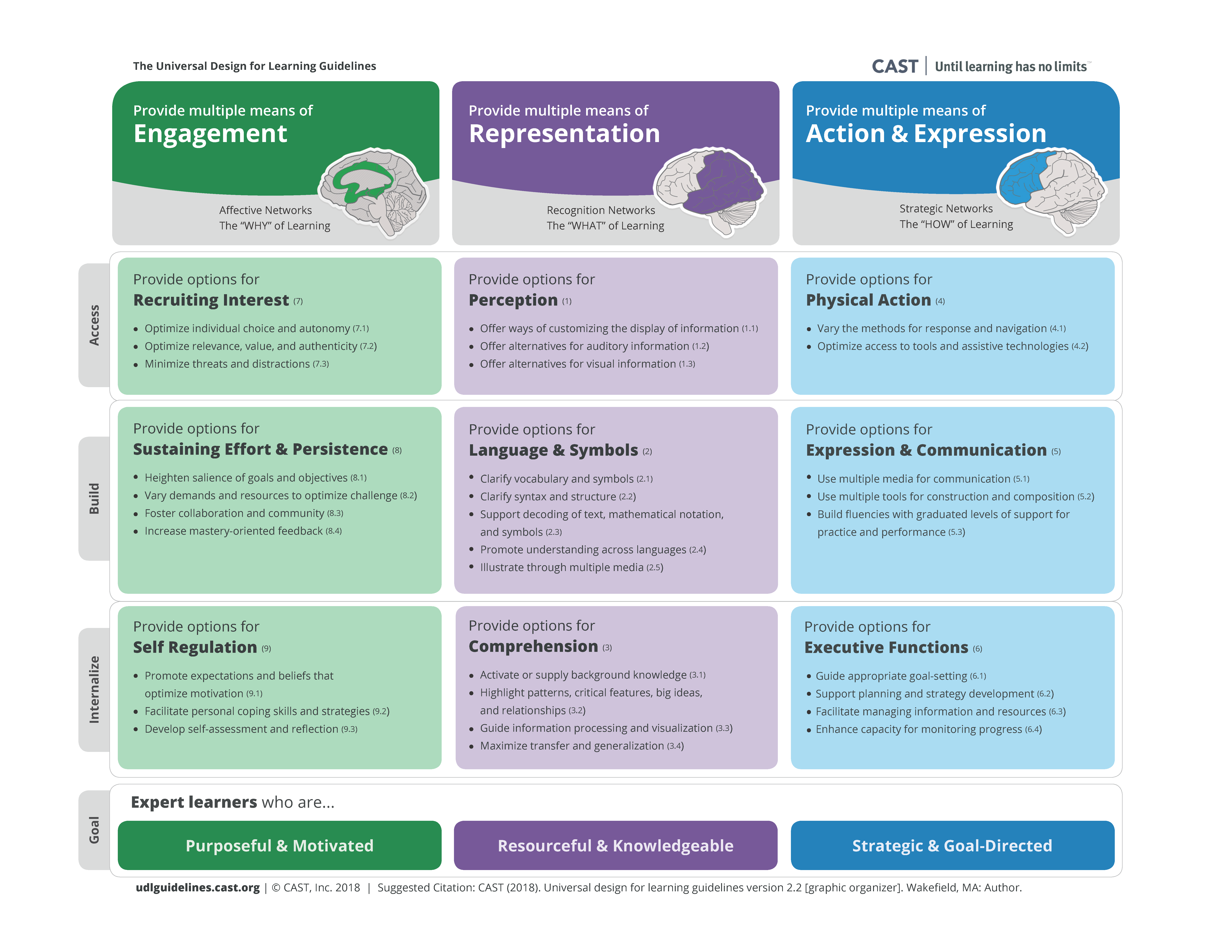 Universal Design for Learning Guidelines Graphic Organizer, Version 2.2