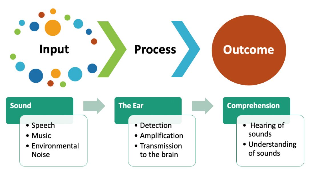 This is the depiction of an auditory system for sound processing