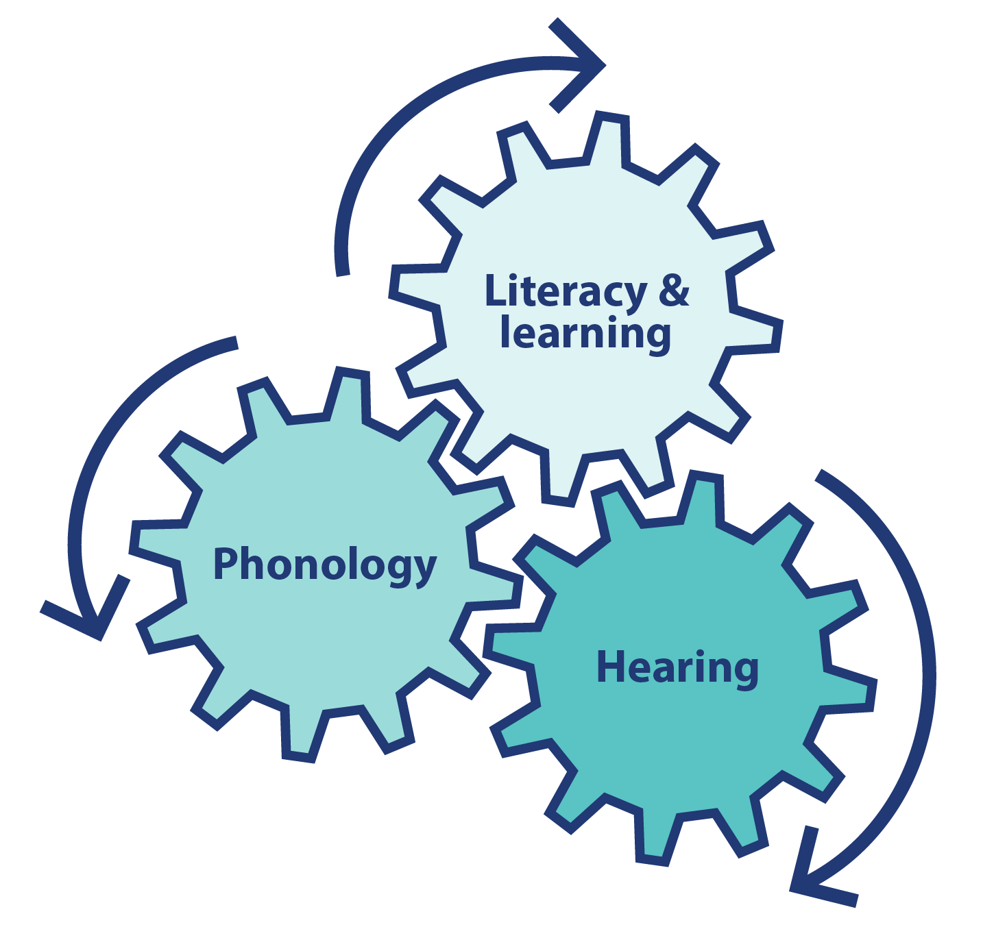 This image depicts the relationship between hearing, phonology and literacy